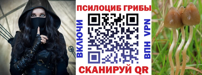 Купить где  Новосокольники  Галлюциногенные грибы прущие грибы 
