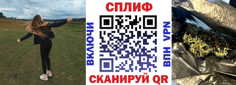 Купить  Новосокольники  Шишки марихуана сатива 
